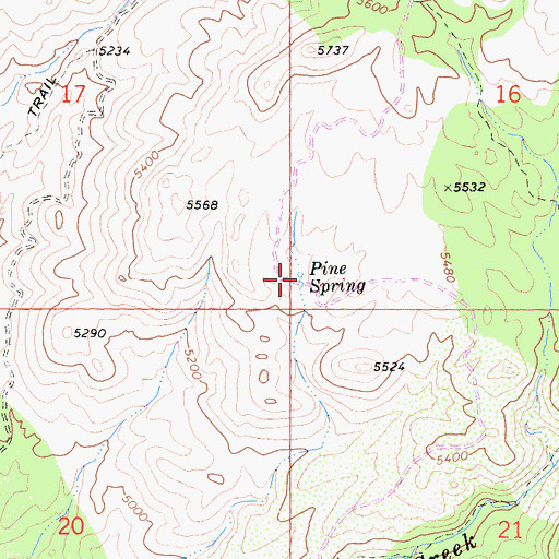 Topographic Map of Pine Spring, CA