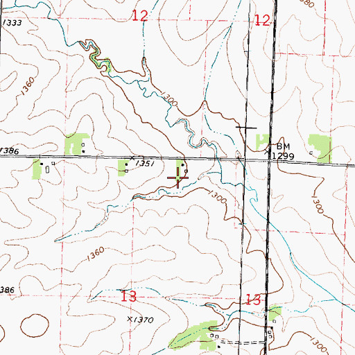 Topographic Map of Nelson Farms, IA