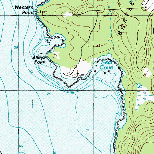 Topographic Map of Bartlett Island Number 5 Cemetery, ME
