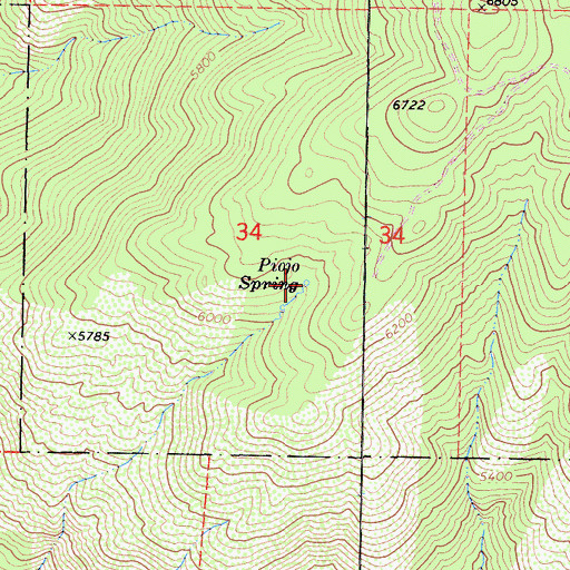 Topographic Map of Piojo Spring, CA