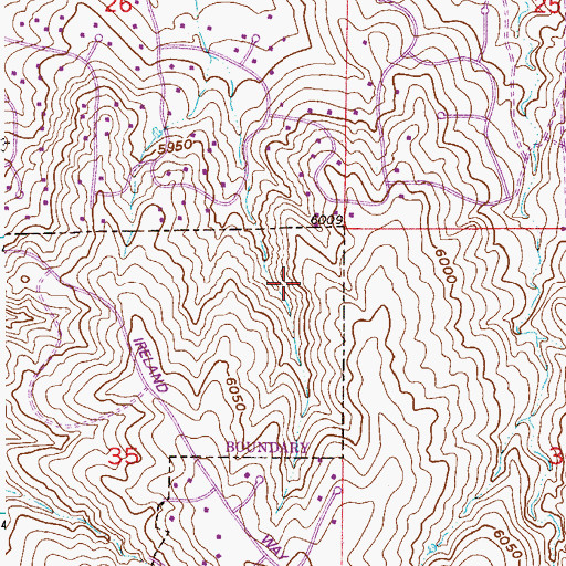 Topographic Map of Liberty Middle School, CO