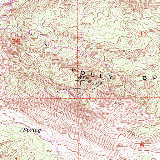 Topographic Map of Polly Butte, CA