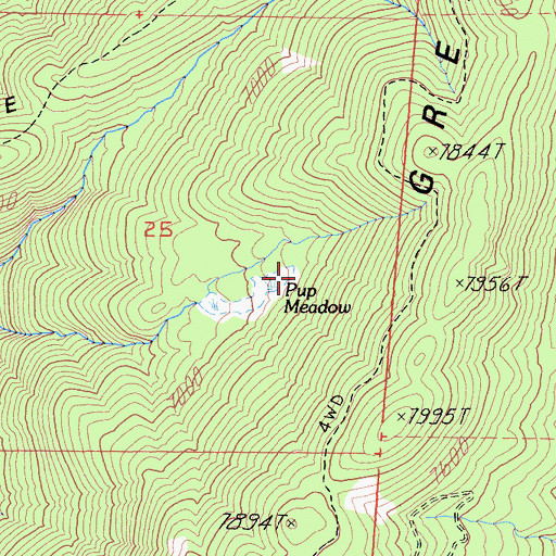 Topographic Map of Pup Meadow, CA