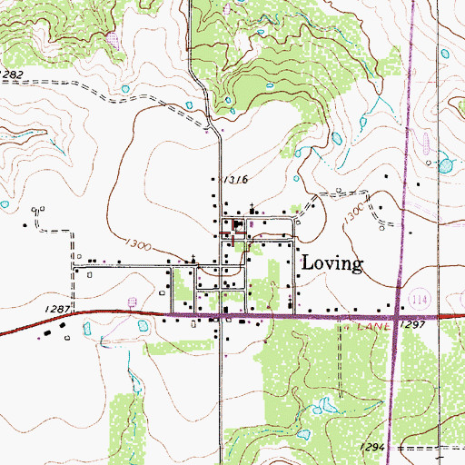 Topographic Map of Loving Post Office, TX