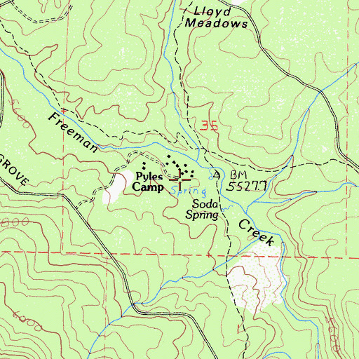 Topographic Map of Pyles Camp, CA