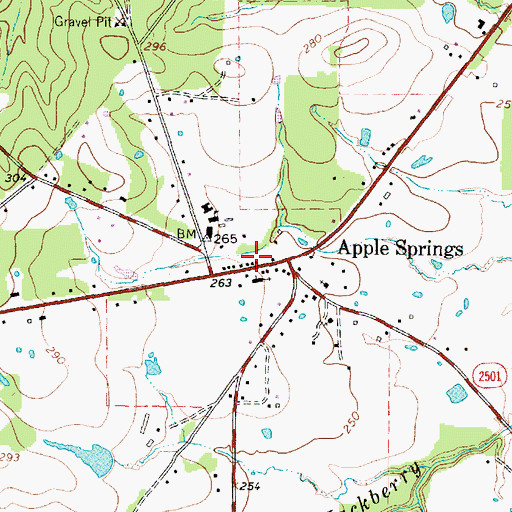 Topographic Map of Apple Springs Post Office, TX