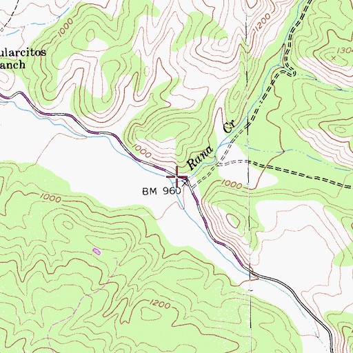Topographic Map of Rana Creek, CA