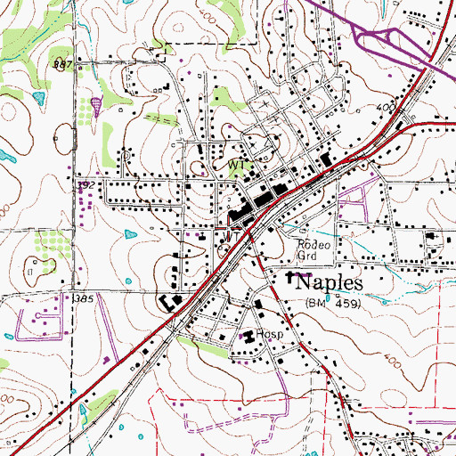Topographic Map of Naples Post Office, TX