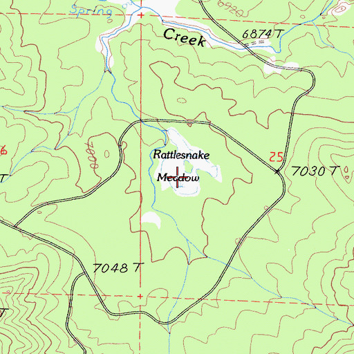 Topographic Map of Rattlesnake Meadow, CA