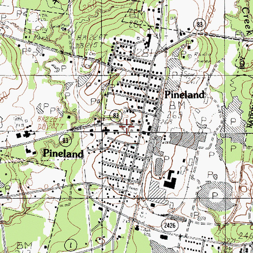 Topographic Map of Pineland Post Office, TX
