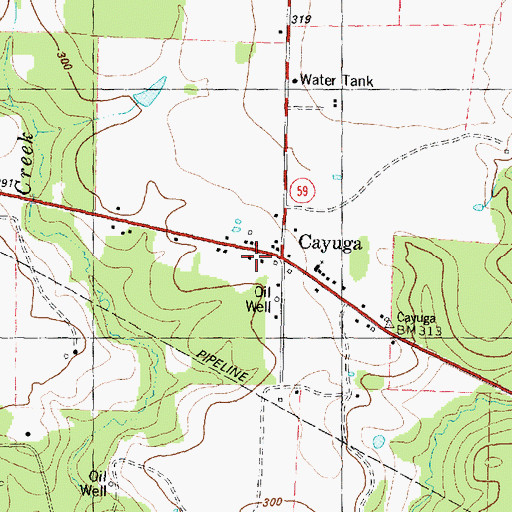 Topographic Map of Cayuga Post Office, TX