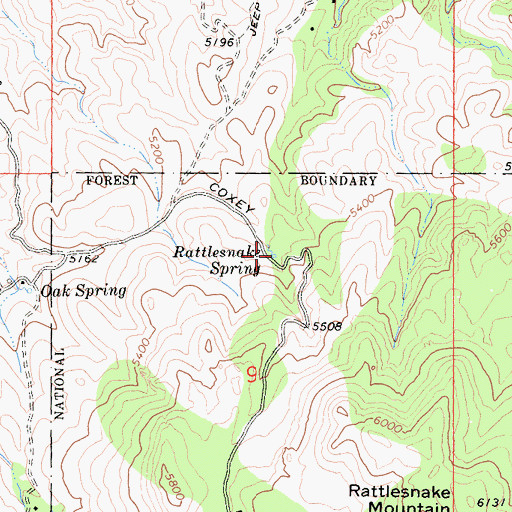 Topographic Map of Rattlesnake Spring, CA