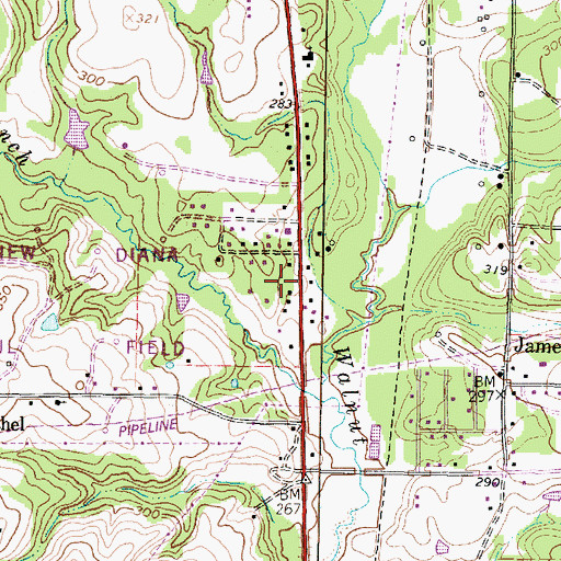 Topographic Map of Diana Post Office, TX