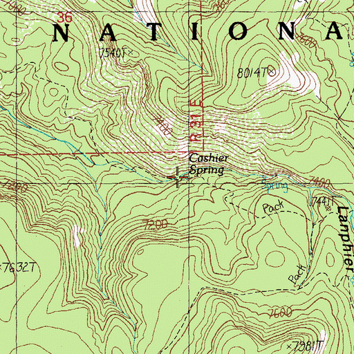 Topographic Map of Cashier Spring, AZ