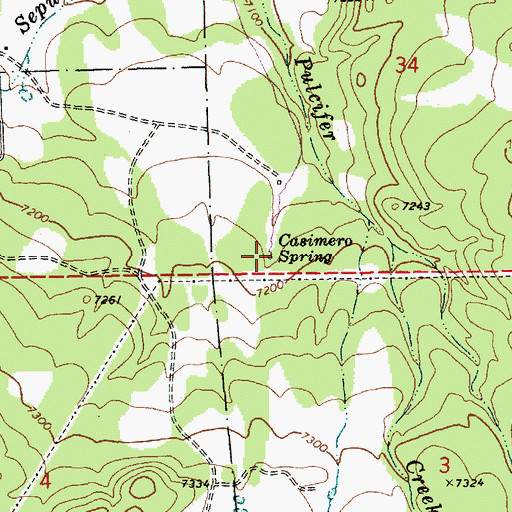 Topographic Map of Casimero Spring, AZ