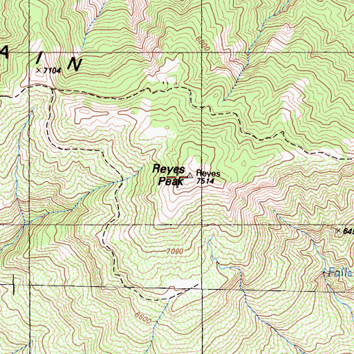 Topographic Map of Reyes Peak, CA