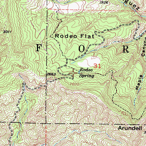 Topographic Map of Rodeo Spring, CA