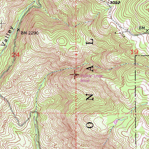 Topographic Map of Rose Quartz Mine, CA