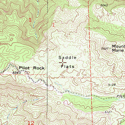 Topographic Map of Saddle Flats, CA