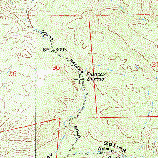 Topographic Map of Salazar Spring, CA