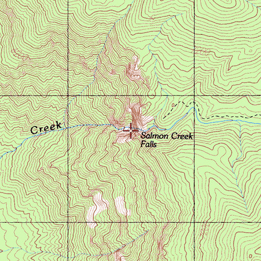 Topographic Map of Salmon Creek Falls, CA