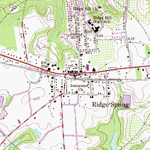 Topographic Map of Ridge Spring Police Department, SC