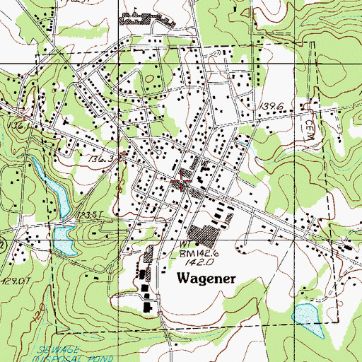 Topographic Map of Wagener Police Department, SC