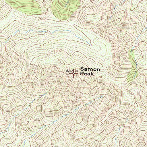 Topographic Map of Samon Peak, CA