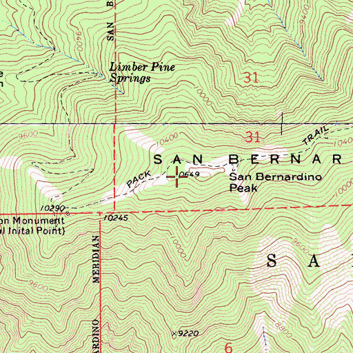 Topographic Map of San Bernadino Peak, CA