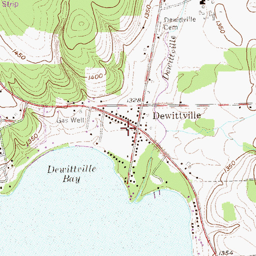 Topographic Map of Dewittville Fire Department, NY
