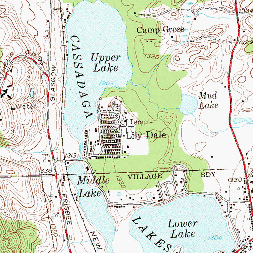 Topographic Map of Lily Dale Volunteer Fire Company, NY