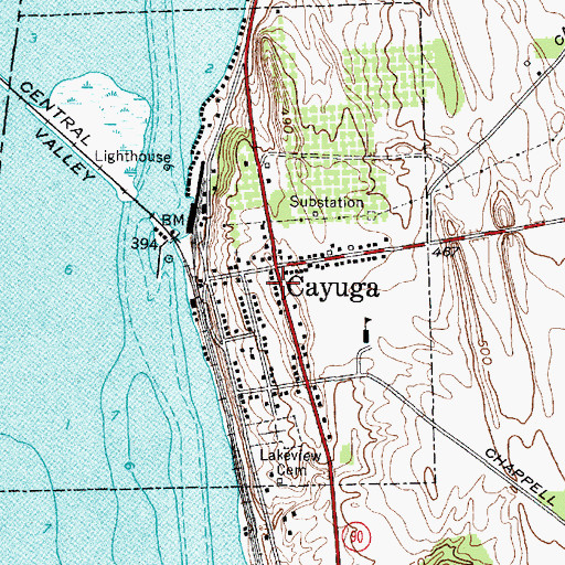 Topographic Map of Cayuga Fire Department, NY