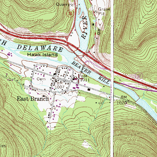 Topographic Map of East Branch Volunteer Fire Department, NY