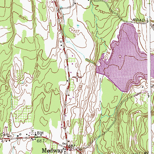 Topographic Map of Medway Grapeville Volunteer Fire Company, NY