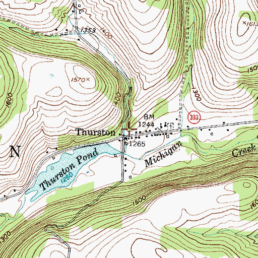 Topographic Map of Thurston Volunteer Fire Company, NY