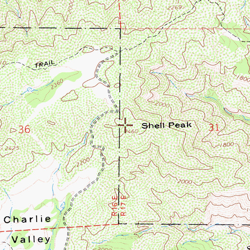 Topographic Map of Shell Peak, CA