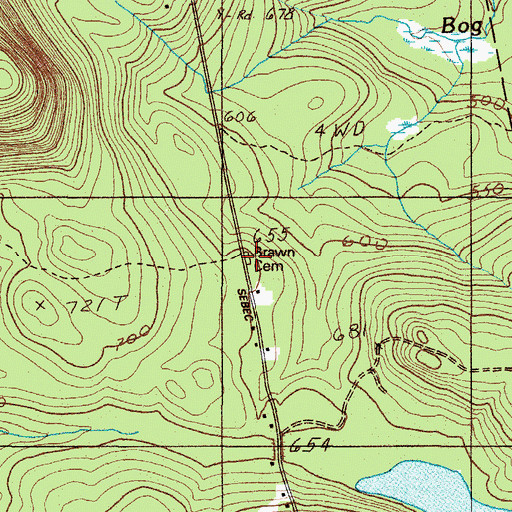 Topographic Map of Brawn Cemetery, ME
