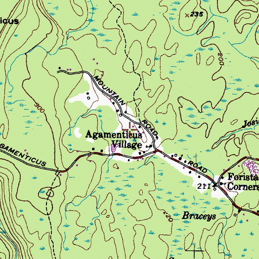 Topographic Map of Plaisted Lot, ME