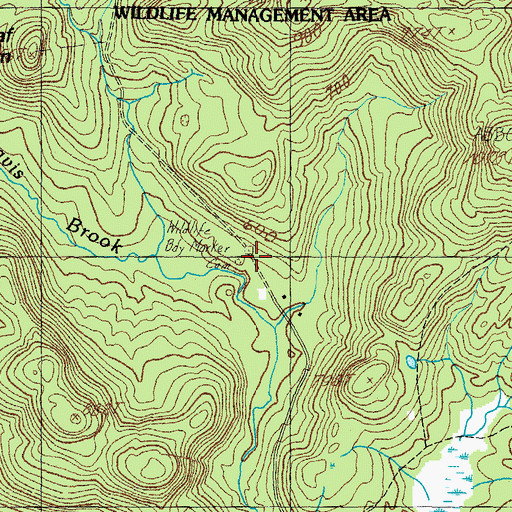 Topographic Map of Thompson Cemetery, ME