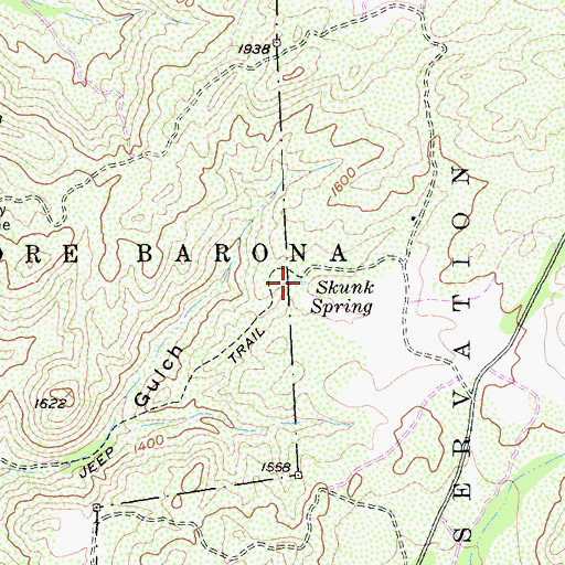 Topographic Map of Skunk Spring, CA