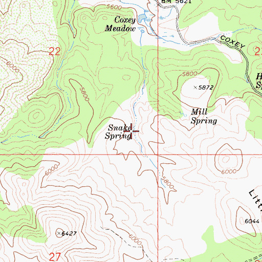 Topographic Map of Snake Spring, CA