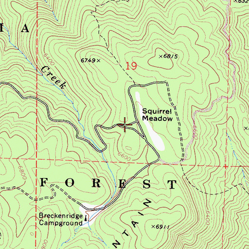 Topographic Map of Squirrel Meadow, CA