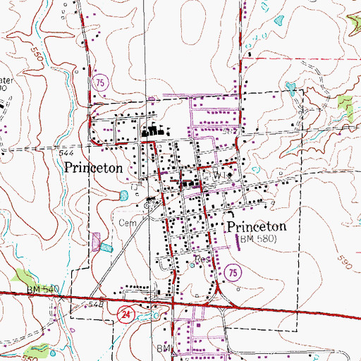 Topographic Map of Princeton Police Department, TX