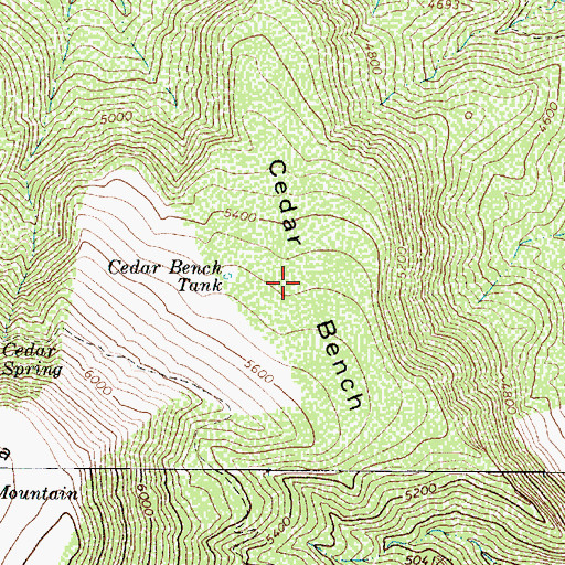 Topographic Map of Cedar Bench, AZ