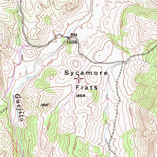 Topographic Map of Sycamore Flats, CA