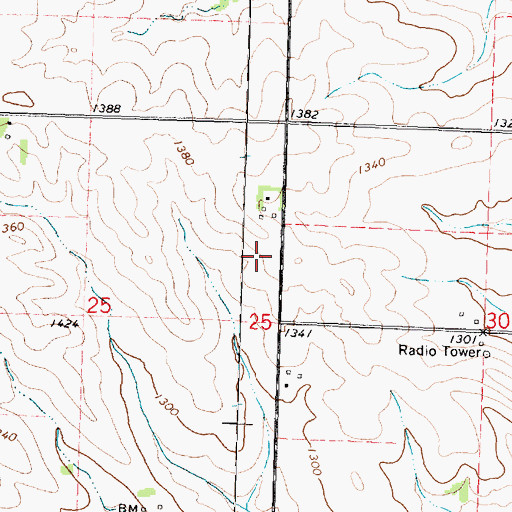 Topographic Map of Rhea Farms, IA
