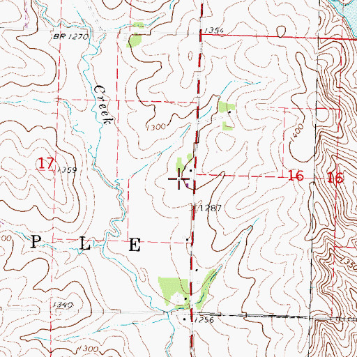 Topographic Map of Bar Farms, IA