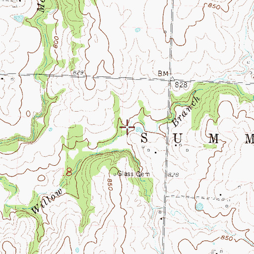 Topographic Map of Glass Branch, MO