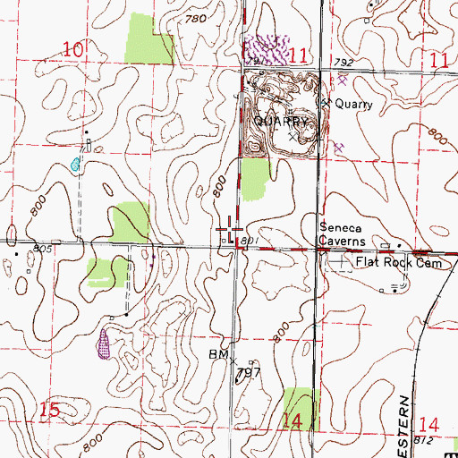 Topographic Map of Four County Farm, OH