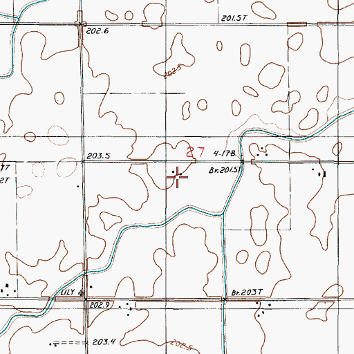 Topographic Map of R M Farms, IL